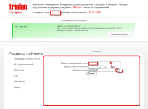 triolan lichnyj kabinet privatbank 300x220 - триолан личный кабинет приватбанк