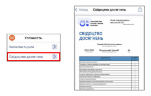svidoctvo dosyagnen iedina shkola 300x191 - свідоцтво досягнень єдина школа